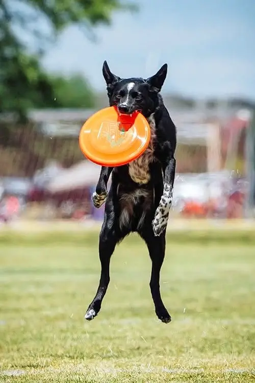 Alternate throws playdate ** Date Change Due to Excessive Heat **
