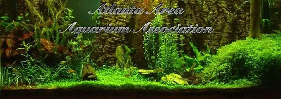 September Monthly Meeting - Native Killifish