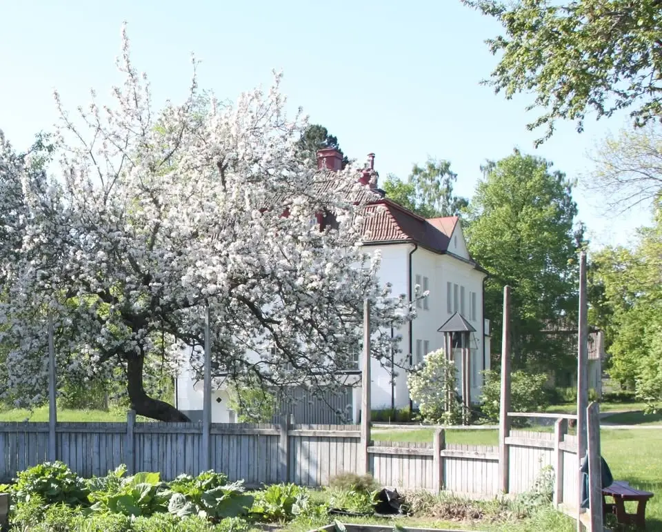 Liekurs med Slåttergubben på Skillebyholm - 26 Juni
