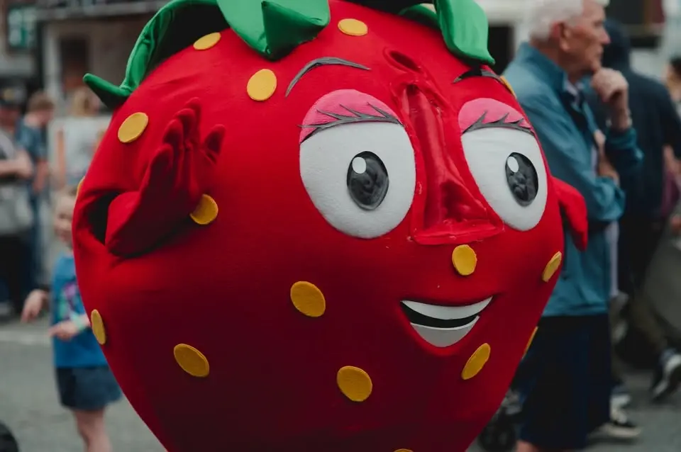 BERRY FEST