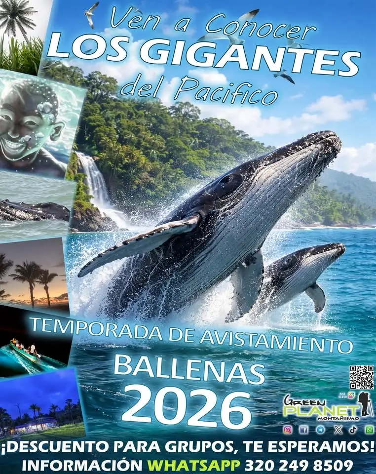 AVISTAMIENTO DE BALLENAS 2026
