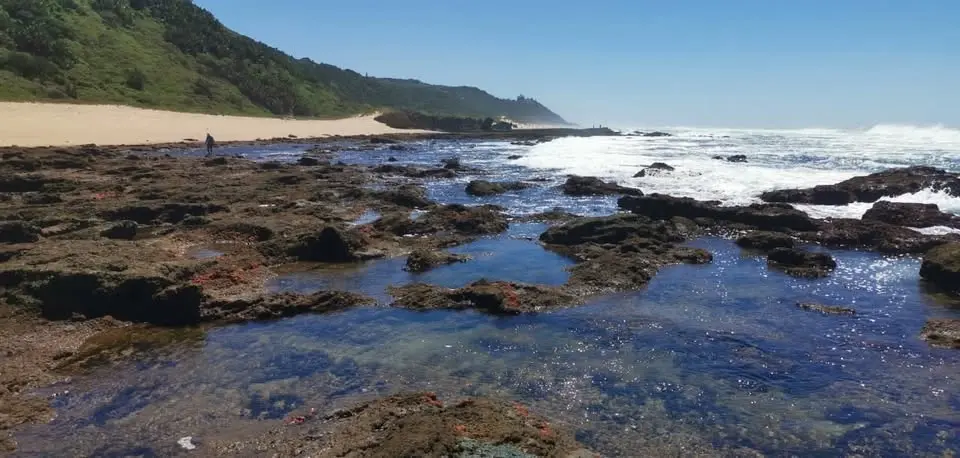 Treasure Beach Explorer