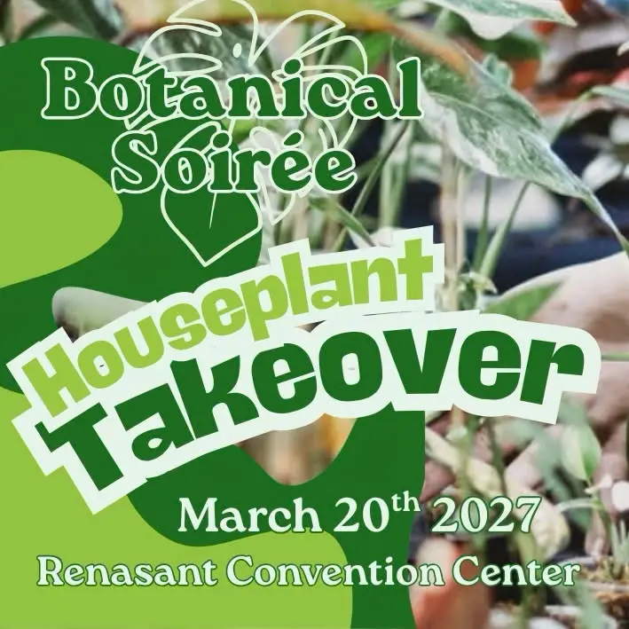 Memphis Houseplant Takeover