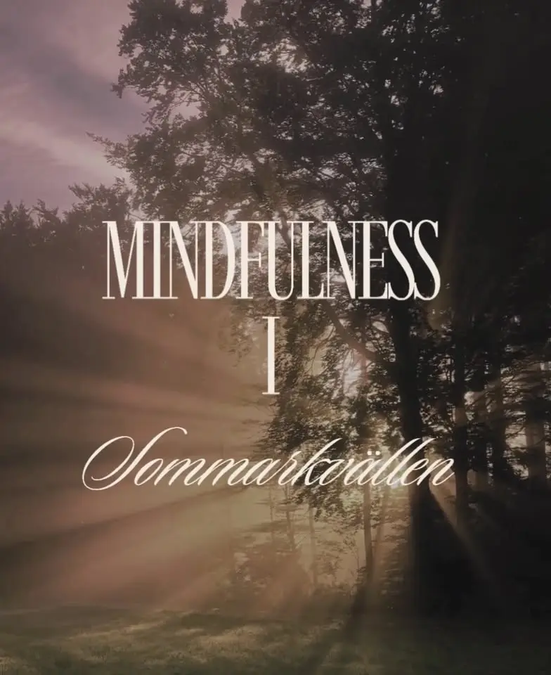 Mindfulness i sommarkvällen 🌾