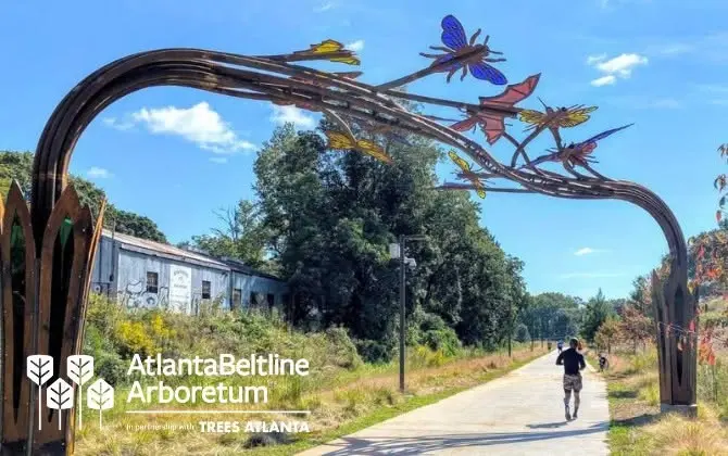 Tree Tour: Atlanta Beltline Arboretum Southwest Trail