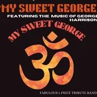 My sweet George @ Rainford Junction Pub