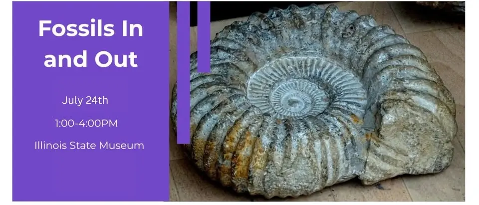 Fossils in and Out!