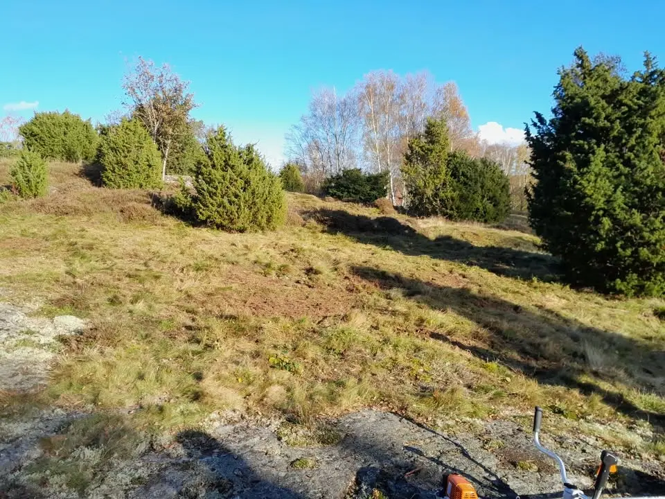 Röjning, Ambros kulle