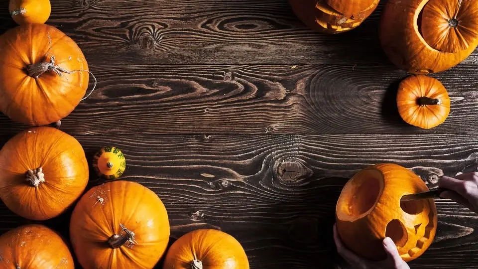 Cooking with S.T.E.A.M.: Pumpkin Carving Workshop