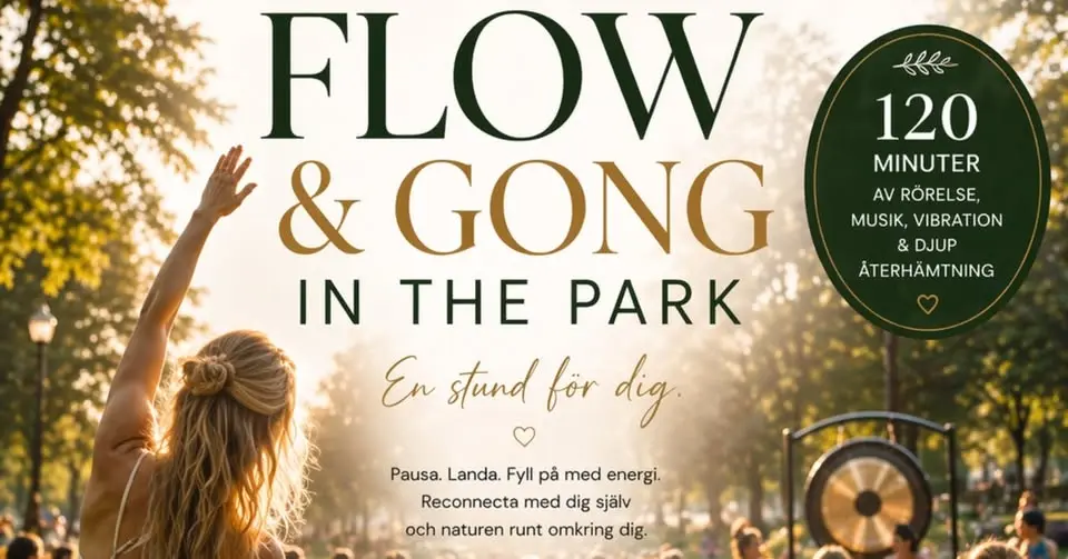 Flow & Gong - In the Park!