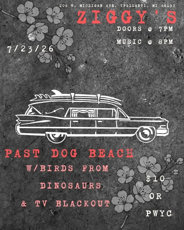 Past Dog Beach with Birds From Dinosaurs and TV Blackout