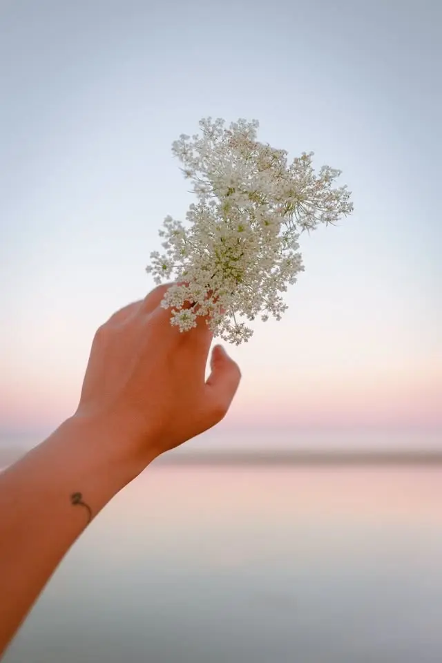 Sommarmusik - Den blomstertid nu kommer