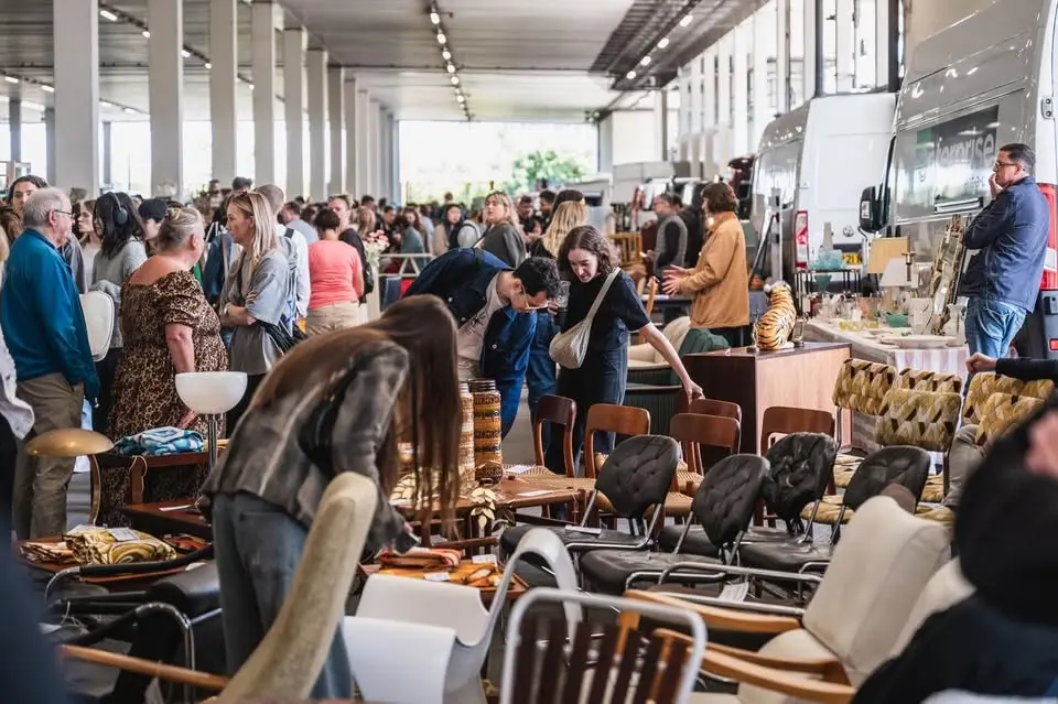 The Giant Summer Flea