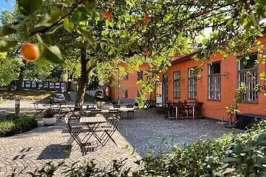 Skivmarknad i Gamla filmstaden