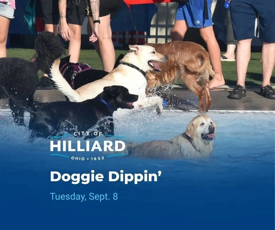 Doggie Dippin’ 