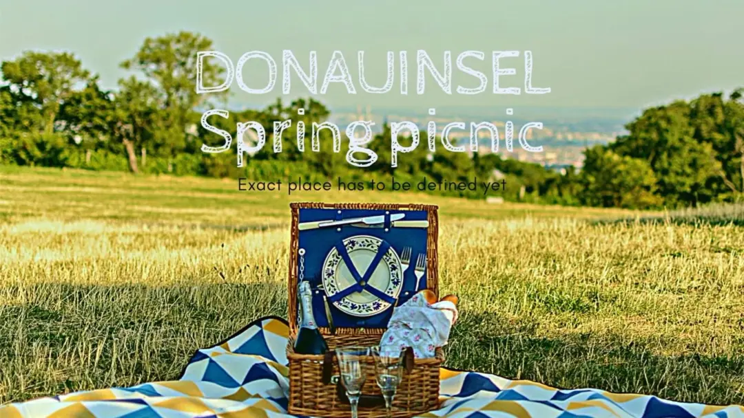 Donauinsel Splash & Share: A Fun-Filled Picnic Fiesta
