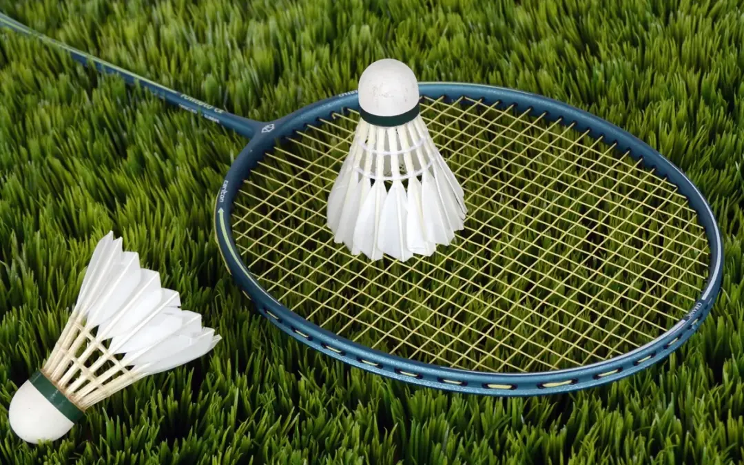 Testa badminton