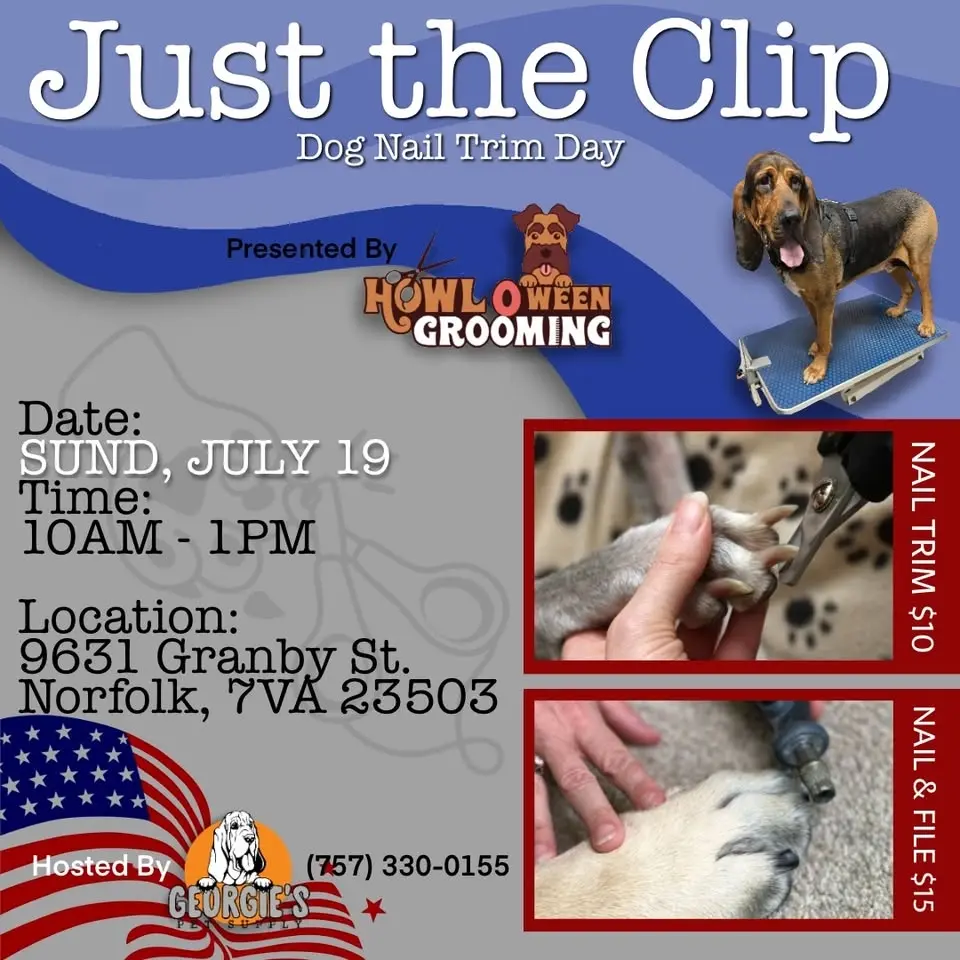 Just the Clip Nail Trim