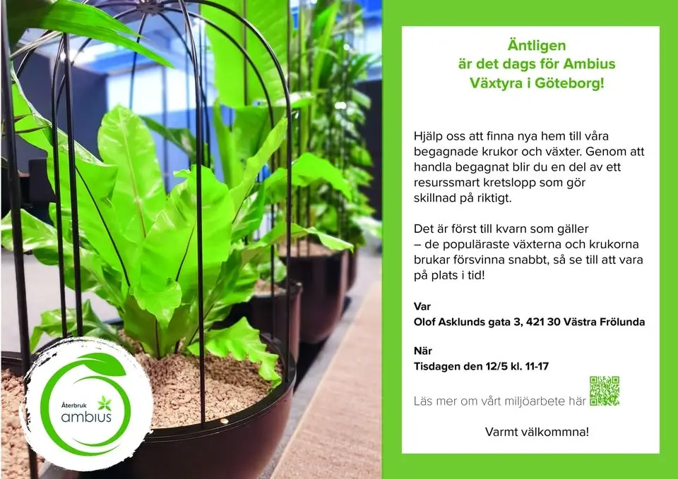 Växtyra Ambius Göteborg