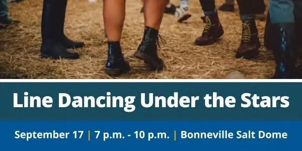 Line Dancing Under the Stars