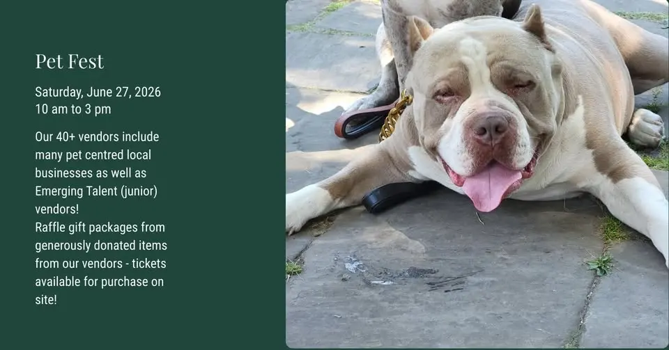 Pet Fest