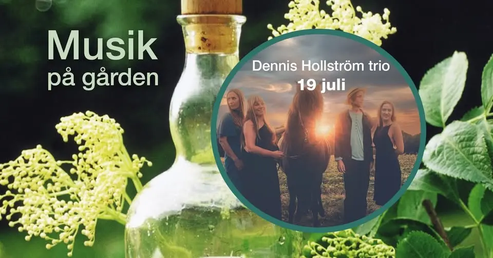 Musik på gården: Dennis Hollström trio, 19 juli