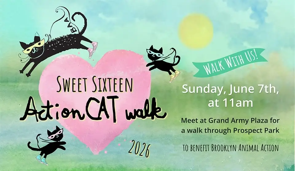 ActionCat Walk 2026