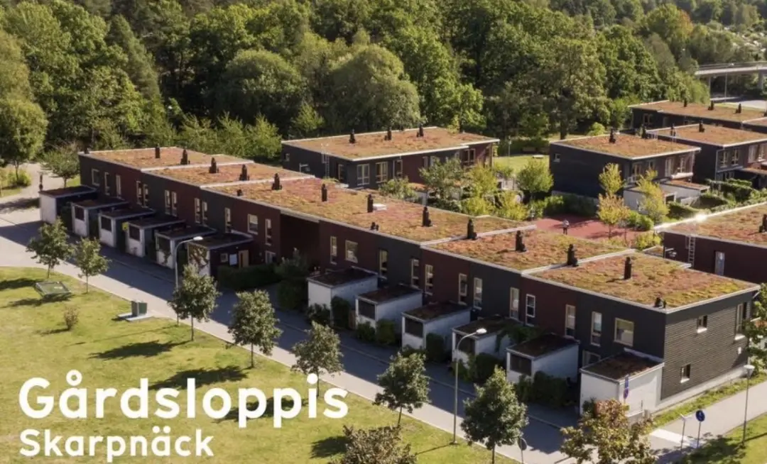 Loppis