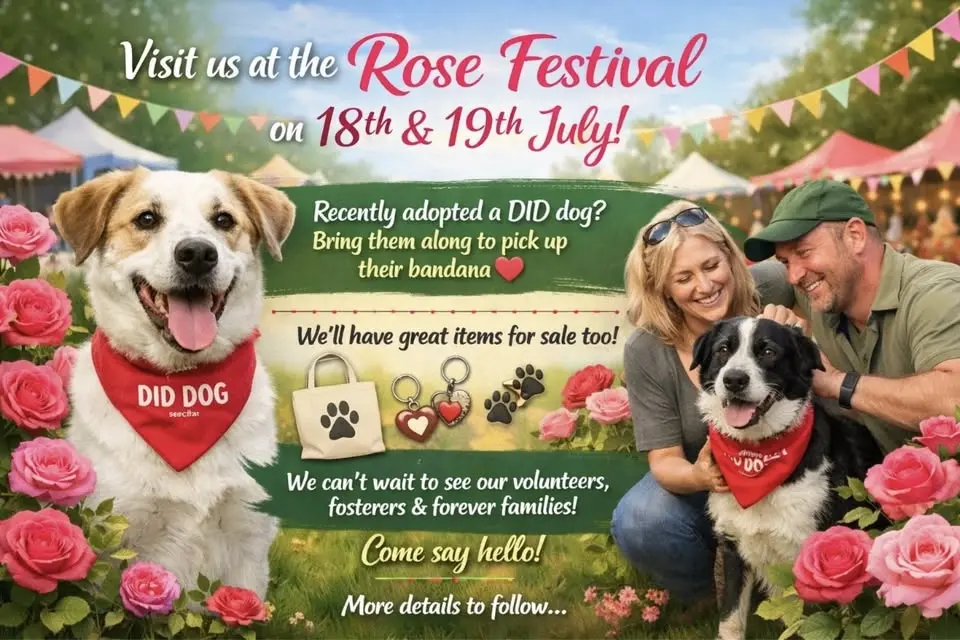 Rose Festival