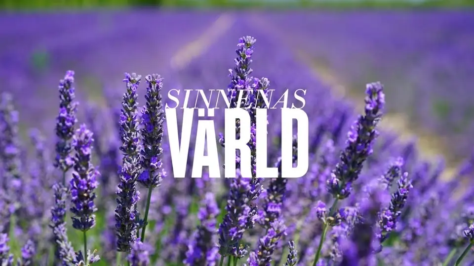 Med doft av lavendel