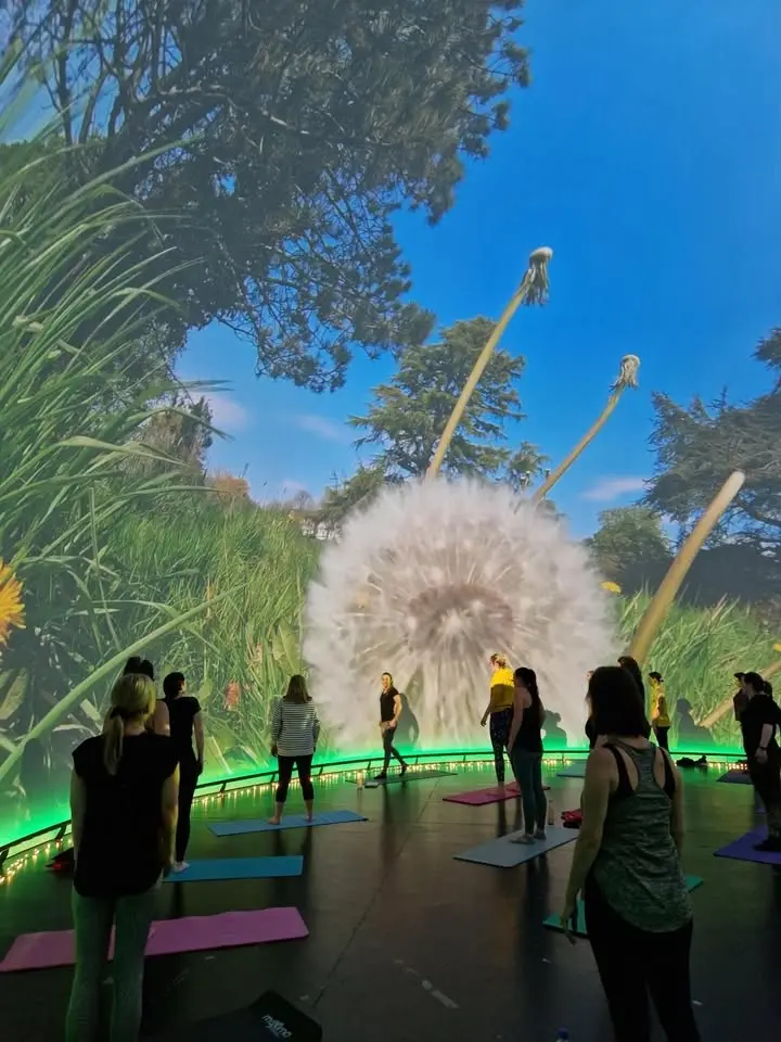 Primary Pilates in the Immersive Dome