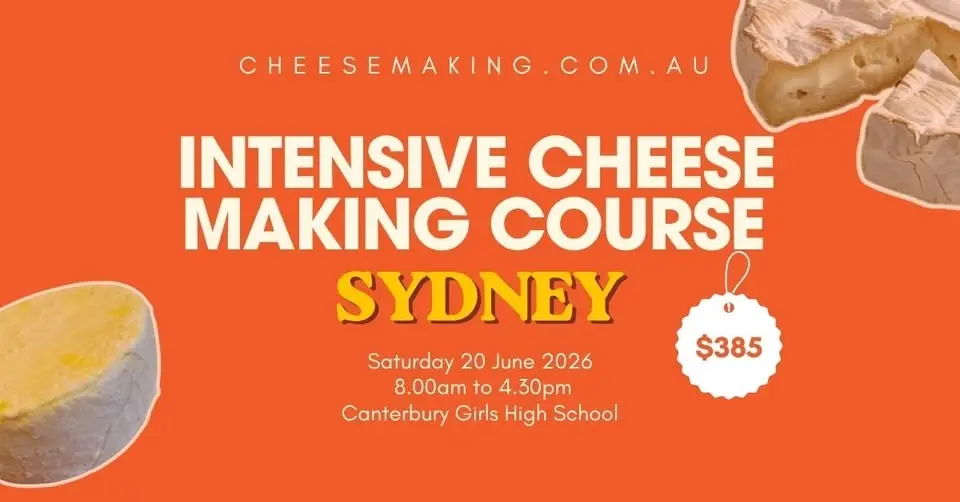 Intensive Cheesemaking Course 1 