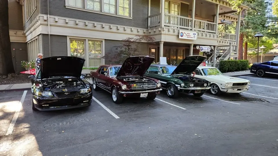 Ponies & Snakes Car Show