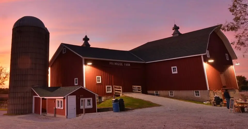 Summer Night Celebration at Primrose Farm