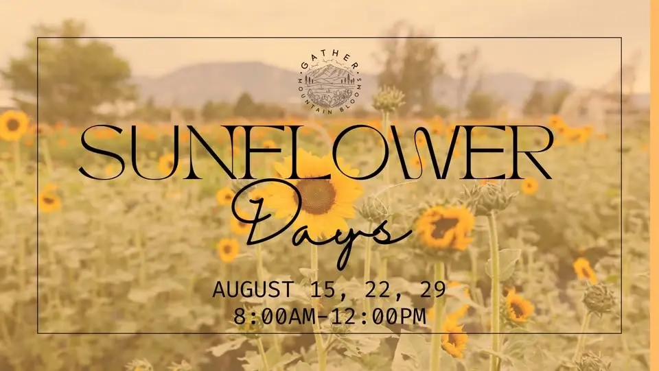 Sunflower Days 
