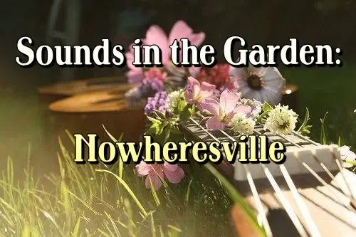 Sounds in the Garden: Nowheresville - Free Concert