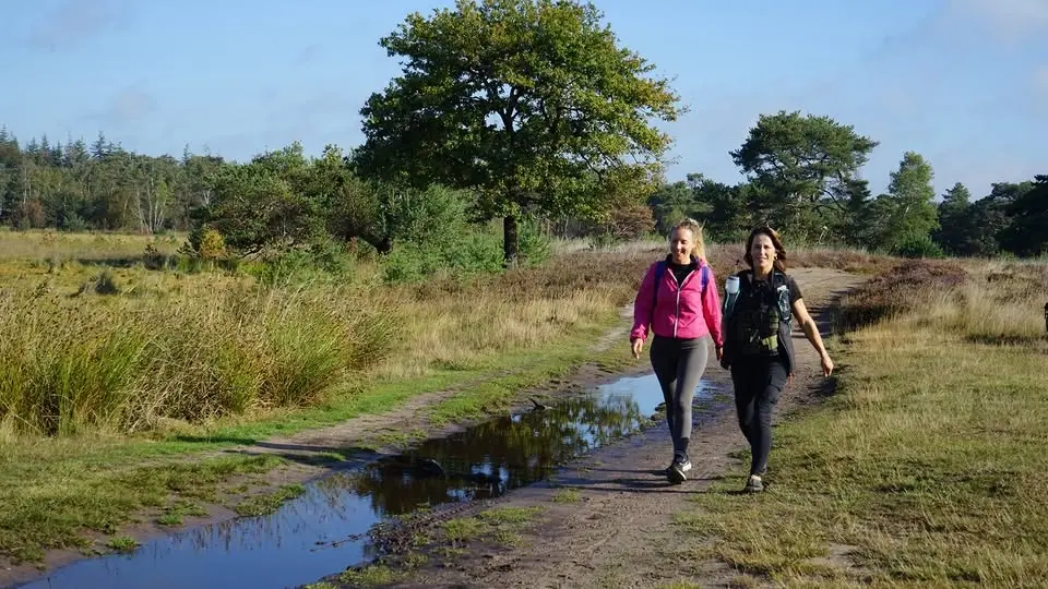 Heuvelrug Wandel2daagse
