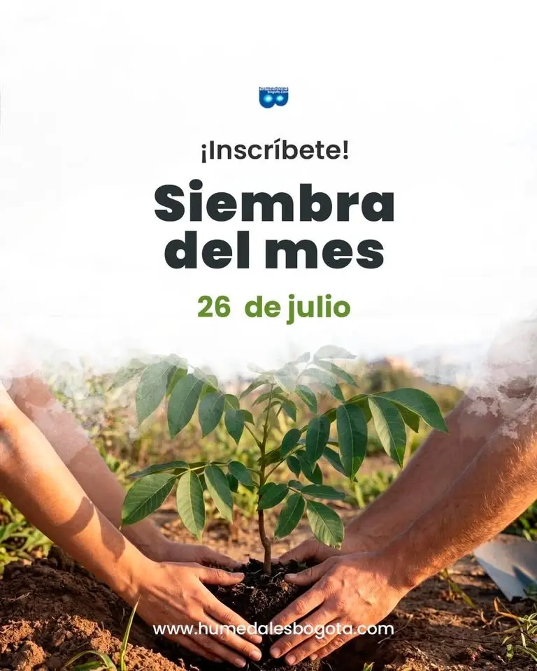 Siembra de árboles - 26 de julio