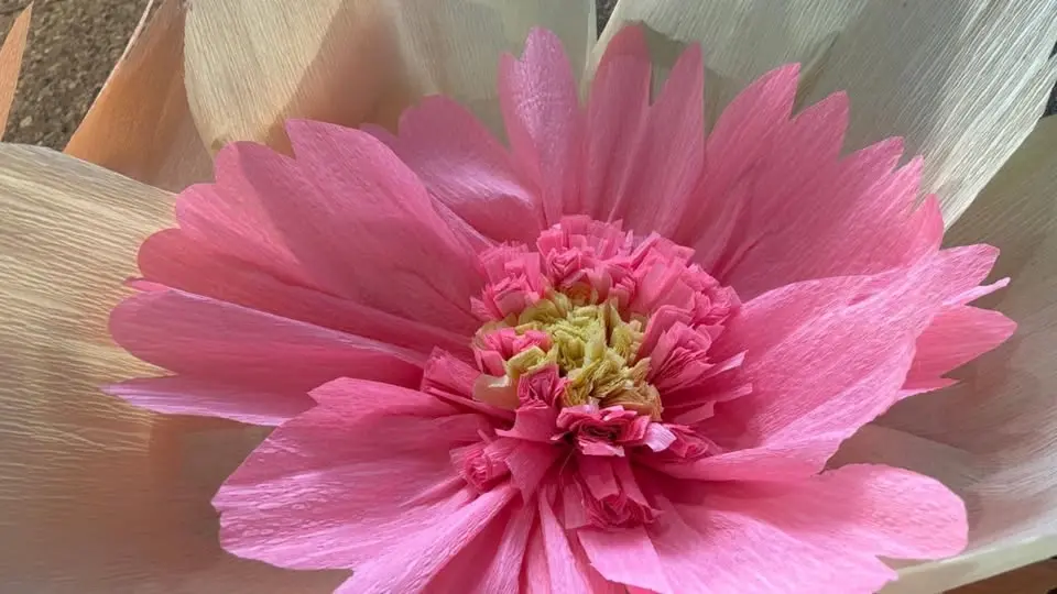 Giant Paper Flower Workshop