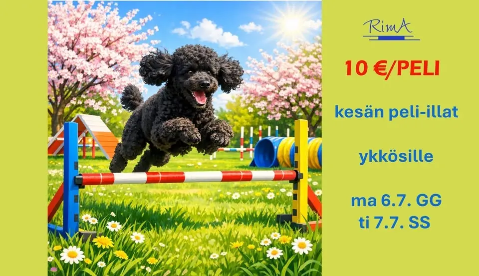 RimAn kesän peli-illat, maanantai 6.7. ja tiistai 7.7.