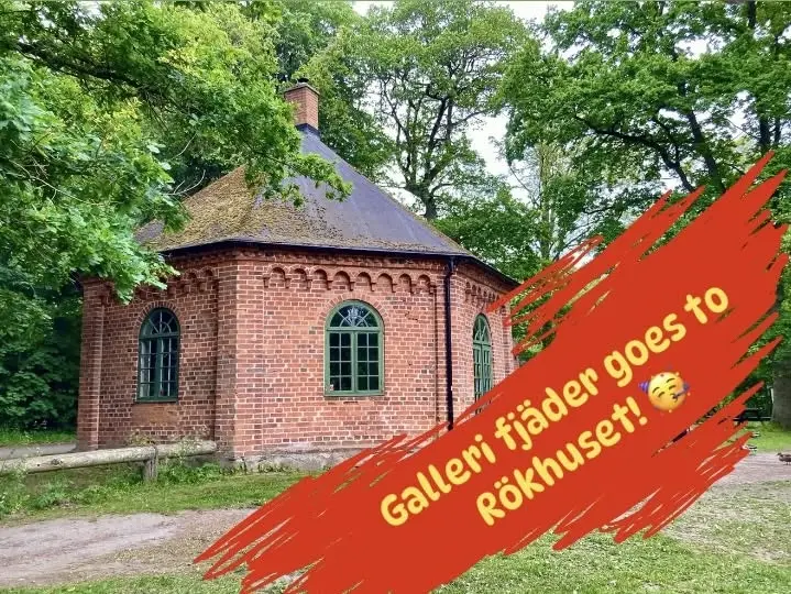 Galleri fjäder goes to Rökhuset.