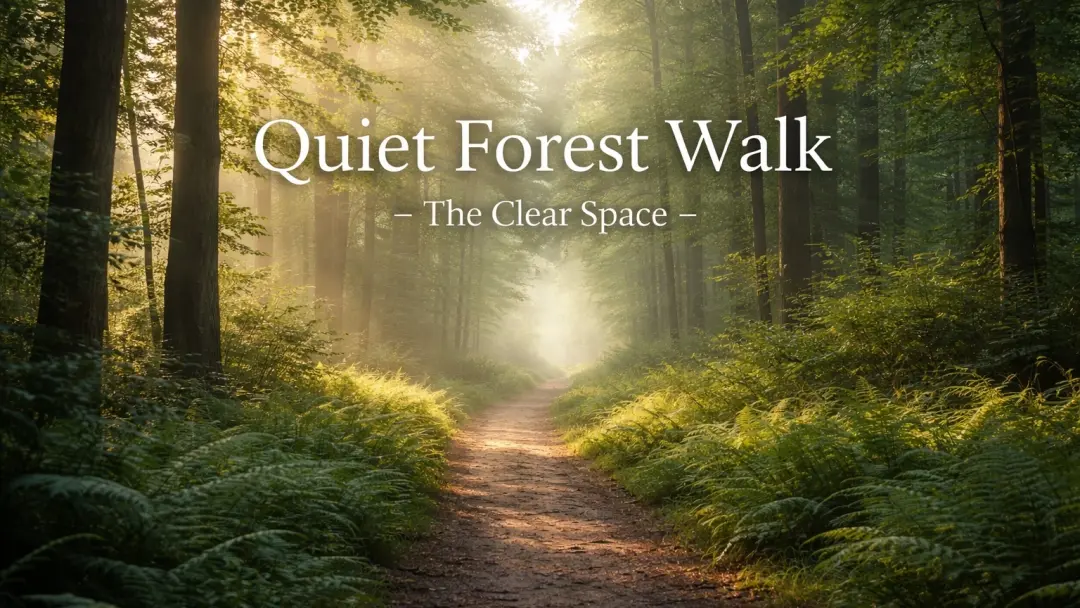 Quiet Forest Walk