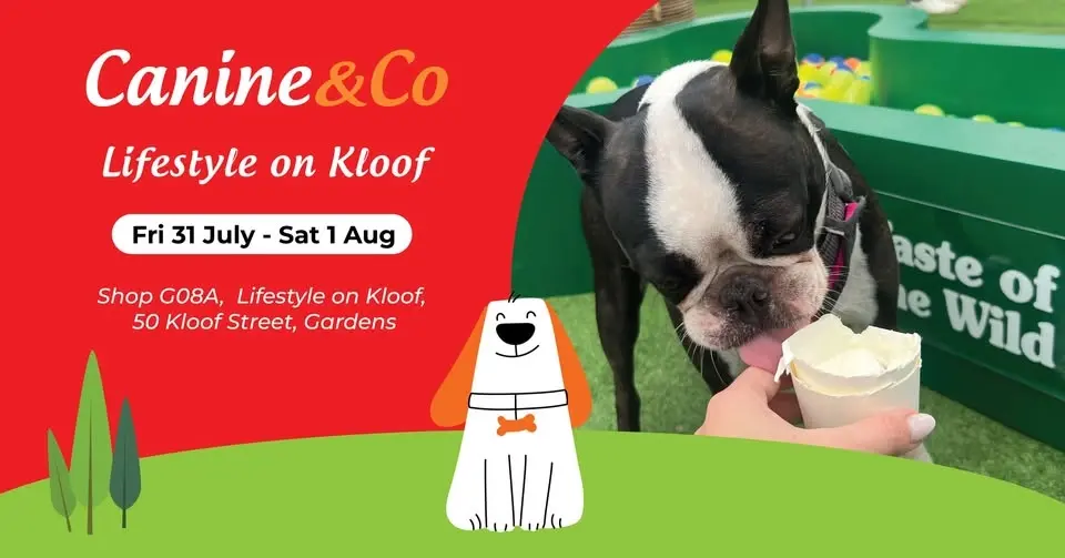 Take your dog on a dream date 