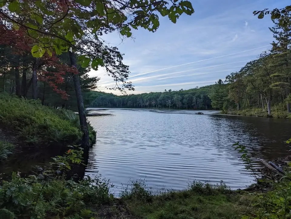 BURCS Free to Run Trail Races