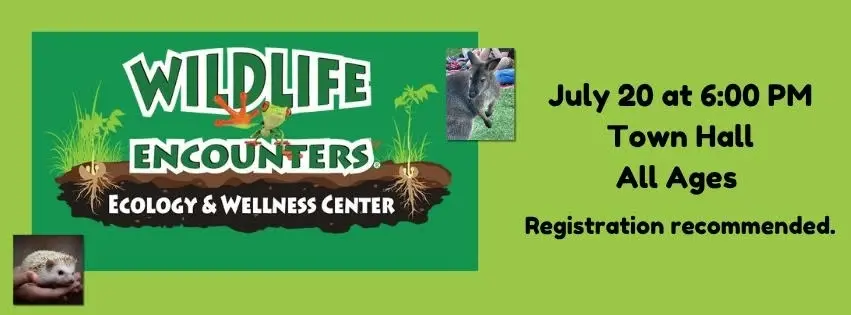 Animal Visitors: Wildlife Encounters!