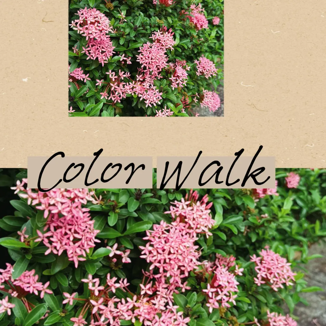 Invitation Letter for City Tour--Colour Walk Clarke Quay Chapter