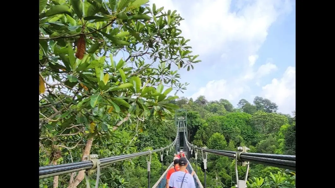MacRitchie Reservoir / Treetop Walk / Upp Peirce Reservoir ~ 15km