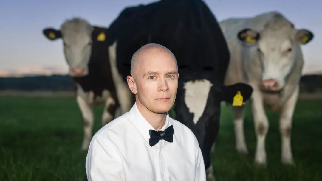 Jens Lekman – Bryggan