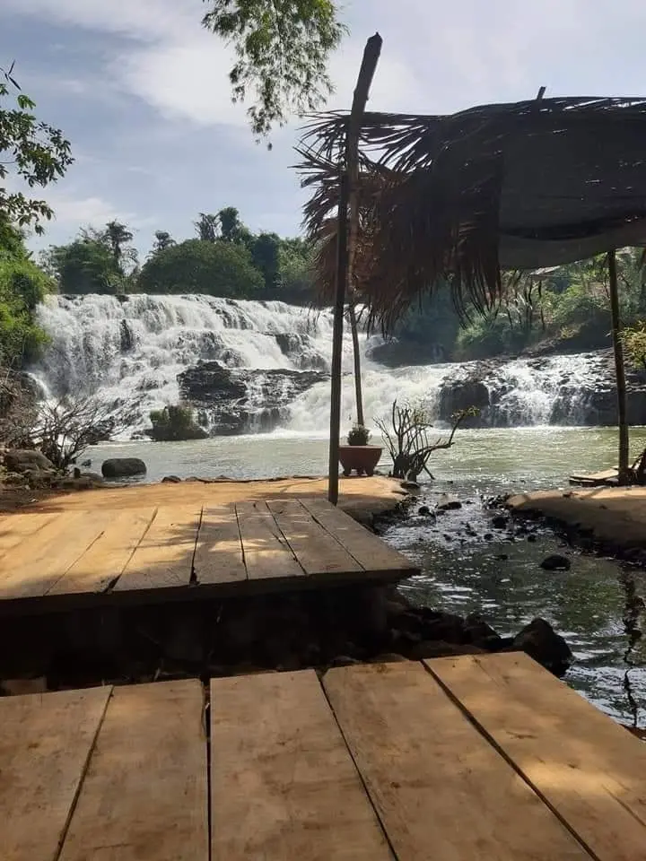 mua cà phê tươi