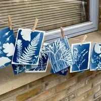 Family Cyanotype Printmaking Workshop